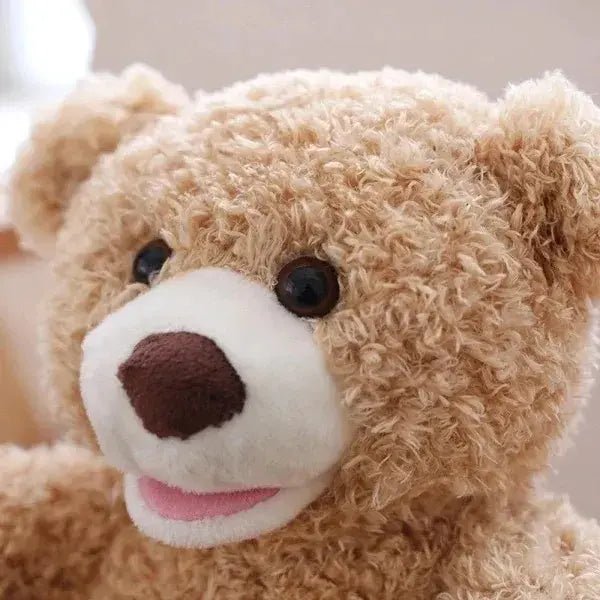 Peek - A - Boo Teddy Bear Toy With Motion & Sound For Kids - Toynix