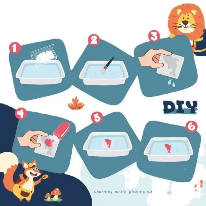 Magic waterscape DIY kit Educational Toys - Toynix