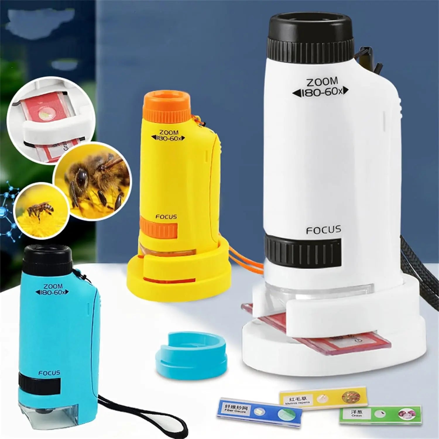 Handheld A4 Microscope Portable Handheld Microscope - Toynix