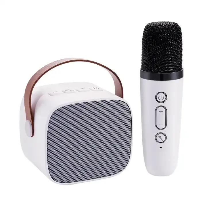 K12 Mini Karaoke Wireless Mic Speaker with RGB Lights Toynix